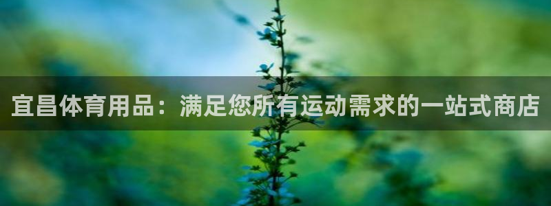 欧陆娱乐平台登录不上：宜昌体育用品：满足您所有运动需