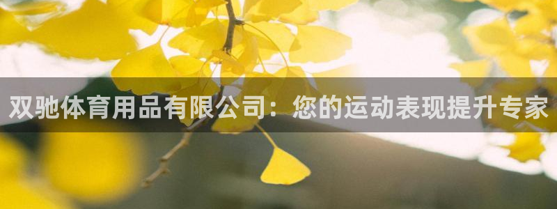 欧陆娱乐请输入USDT地址：双驰体育用品有限公司：您