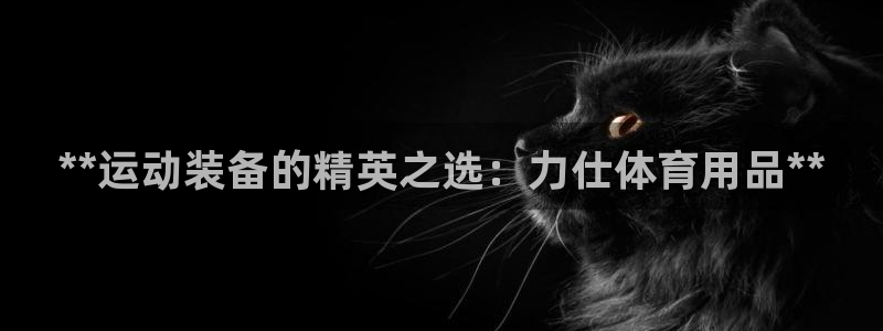 欧陆娱乐代理多少个点位合适：**运动装备的精英之选：