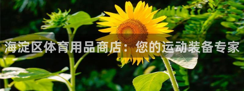 欧陆娱乐提现多久到账：海淀区体育用品商店：您的运动装