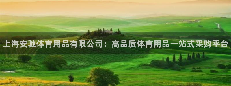 欧陆娱乐登陆官网网址：上海安驰体育用品有限公司：高品