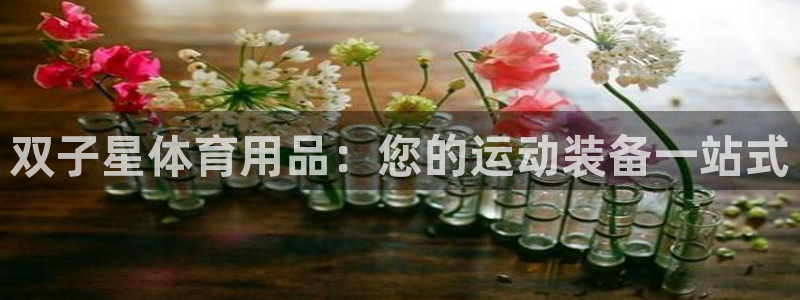 欧陆娱乐太阳：双子星体育用品：您的运动装备一站式