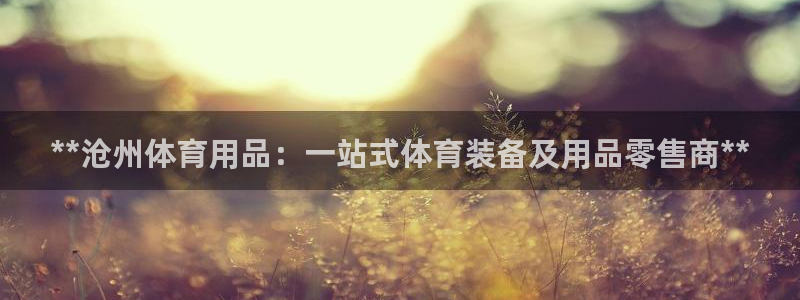 重庆欧陆娱乐有限公司：**沧州体育用品：一站式体育装