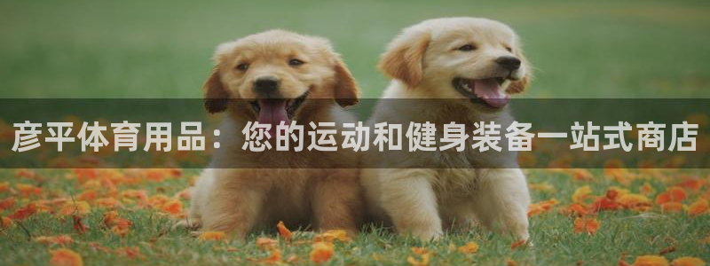 欧陆娱乐官网下载安装最新版本：彦平体育用品：您的运动和健身装