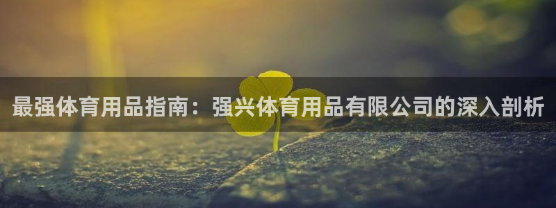 欧陆是什么平台：最强体育用品指南：强兴体育用品有限公