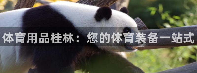 欧陆娱乐登陆官网网址：体育用品桂林：您的体育装备一站式