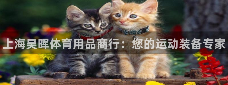 欧陆娱乐客服服务怎么样：上海昊晖体育用品商行：您的运动装备专