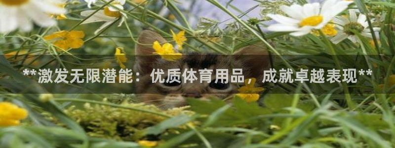 重庆欧陆娱乐有限公司怎么样：**激发无限潜能：优质体