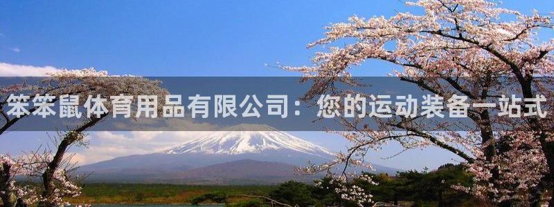 欧陆娱乐注册平台：笨笨鼠体育用品有限公司：您的运动装备一站式
