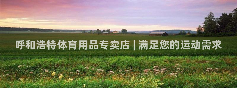 欧陆娱乐客服服务怎么样：呼和浩特体育用品专卖店 | 