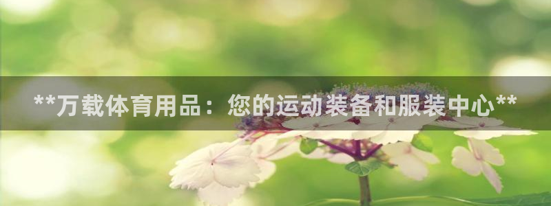 欧陆娱乐平台咋样：**万载体育用品：您的运动装备和服装中心*
