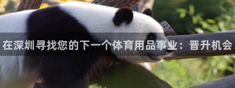 欧陆娱乐挂机项目怎么弄：在深圳寻找您的下一个体育用品事业：晋