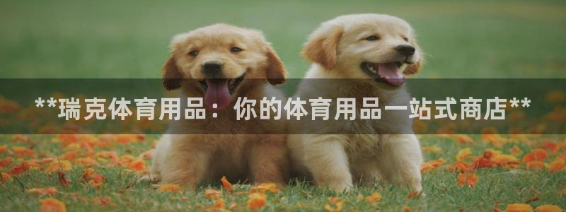 欧陆娱乐官网首页下载：**瑞克体育用品：你的体育用品一站式商