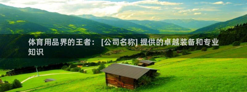 欧陆娱乐游戏：体育用品界的王者： [公司名称] 提供