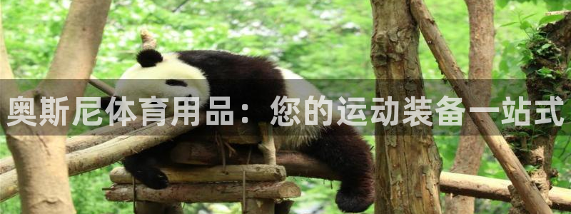 欧陆娱乐注册代理多少钱一年：奥斯尼体育用品：您的运动