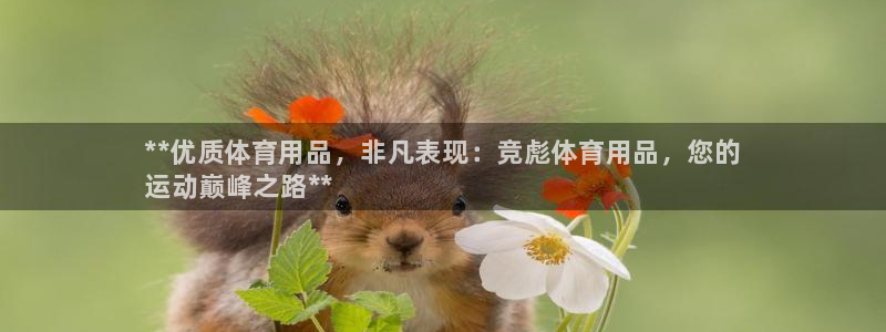 欧陆娱乐注册代理多少钱一个月：**优质体育用品，非凡