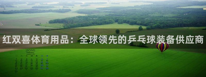 欧陆娱乐访问：红双喜体育用品：全球领先的乒乓球装备供