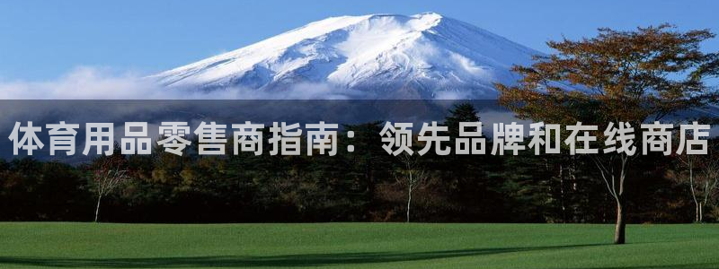 欧陆娱乐注册代理多少钱啊：体育用品零售商指南：领先品