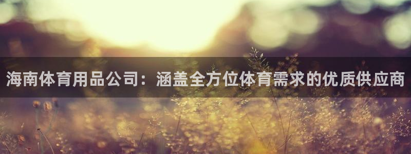 欧陆娱乐打什么方案：海南体育用品公司：涵盖全方位体育