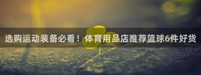 欧陆娱乐推广奖金多少：选购运动装备必看！体育用品店推