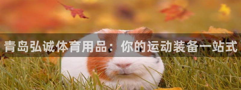 欧陆娱乐是正规平台吗安全吗：青岛弘诚体育用品：你的运动装备一