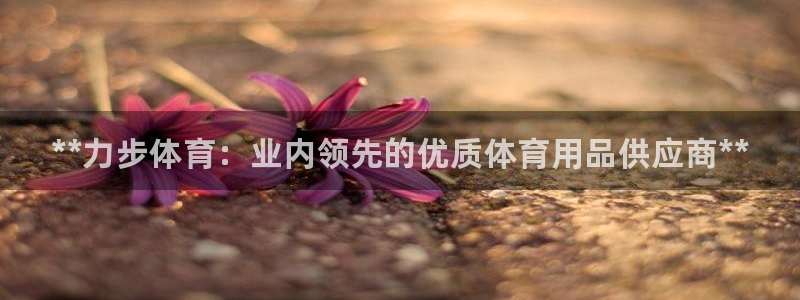 欧陆娱乐会员多少钱：**力步体育：业内领先的优质体育用品供应