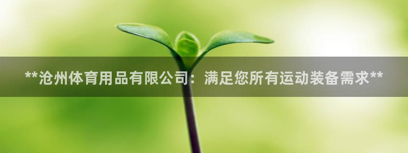 欧陆软件官网：**沧州体育用品有限公司：满足您所有运动装备需