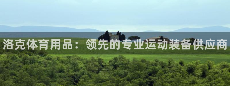 欧陆娱乐测速网站：洛克体育用品：领先的专业运动装备供应商